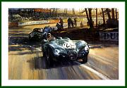 Jaguar C-Type Le Mans 1951 Poster Auto Druck Bild