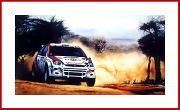 Ford Focus Safari Rallye mit Autogramm Colin Mc Rae